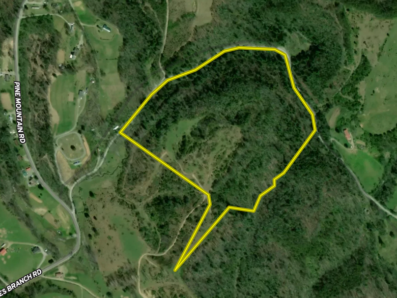 Screenshot 2025-06-09 at 2.23.54 PM