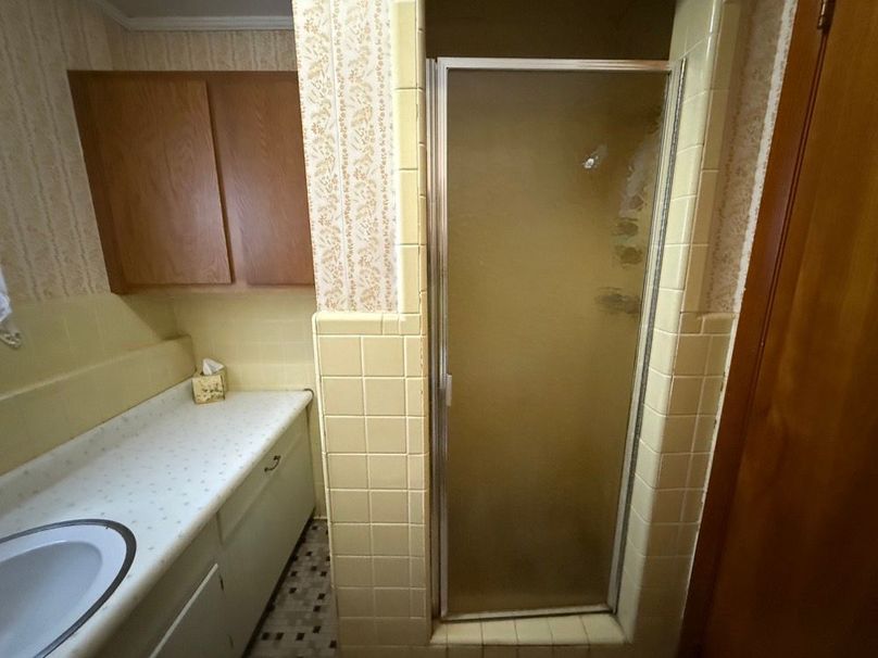044 shower in basement bathroom