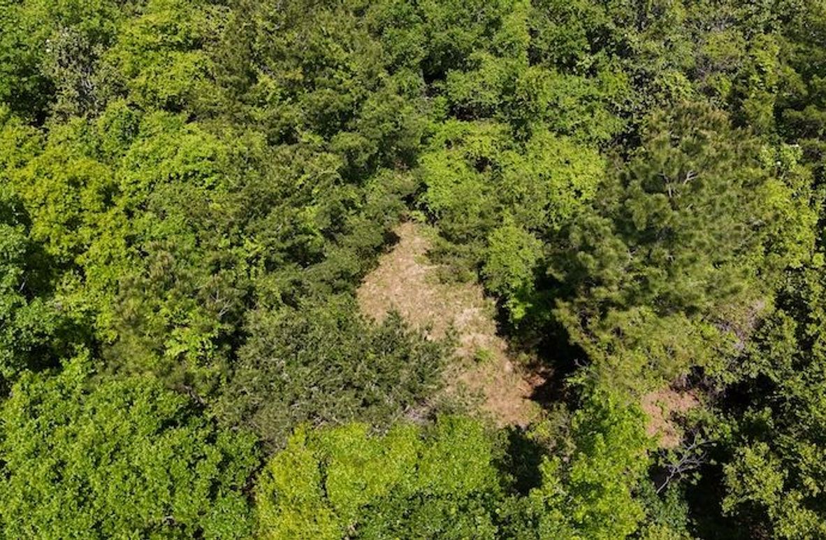 DJI_20250417120207_0002_D