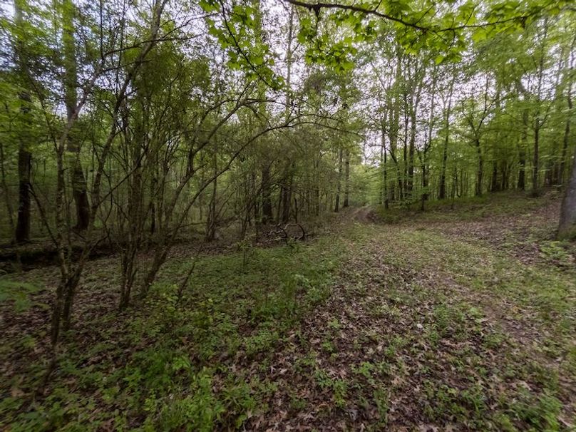 Claiborne Co-314-Fernandez-85