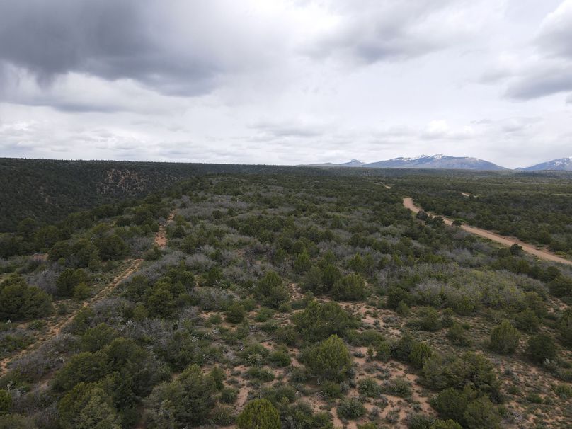 dji_export_1685968222044