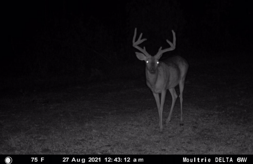 Screenshot 2023-07-27 at 9.57.48 PM