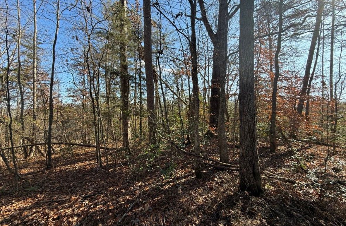004 flat area near the road perfect for a cabin or RV spot