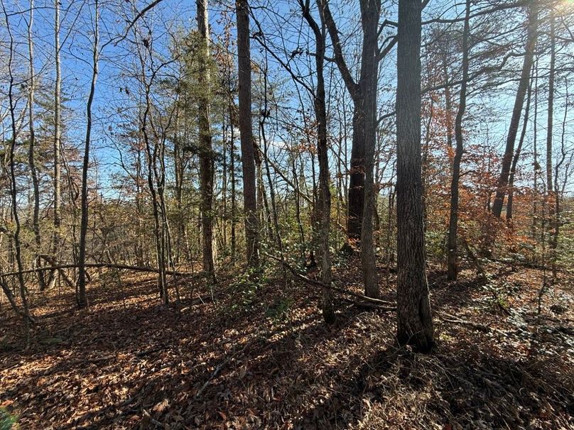 004 flat area near the road perfect for a cabin or RV spot