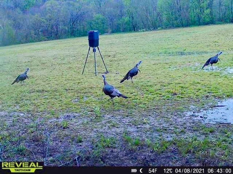 865519049946661-100-4-04082021064300-W1001093