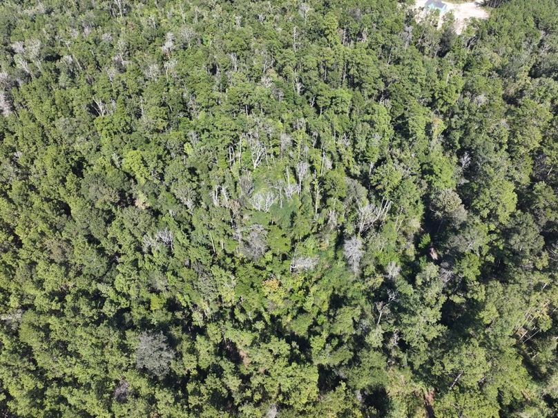 dji_fly_20251014_150452_0674_1760473192002_photo