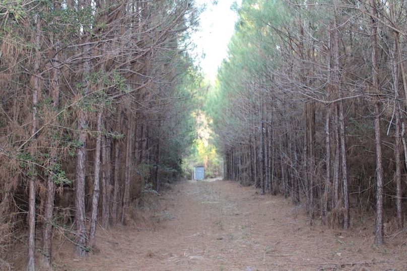 695C934A-14FE-487C-B7EA-F52854AB1661_1_105_c