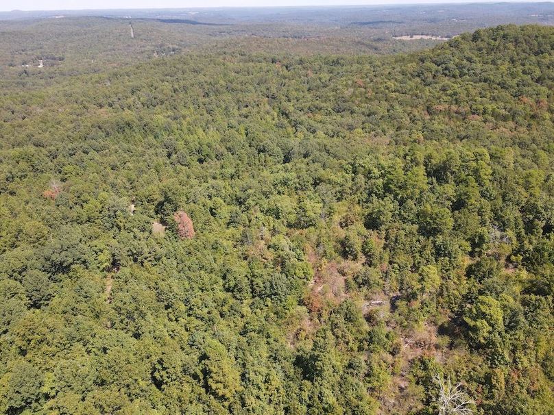 dji_fly_20250902_122408_770_1756833861021_photo