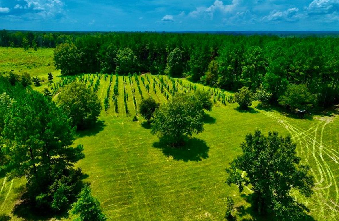 2AA76E0D-0AE0-4BCE-BC78-6E5CD7A73503_1_105_c