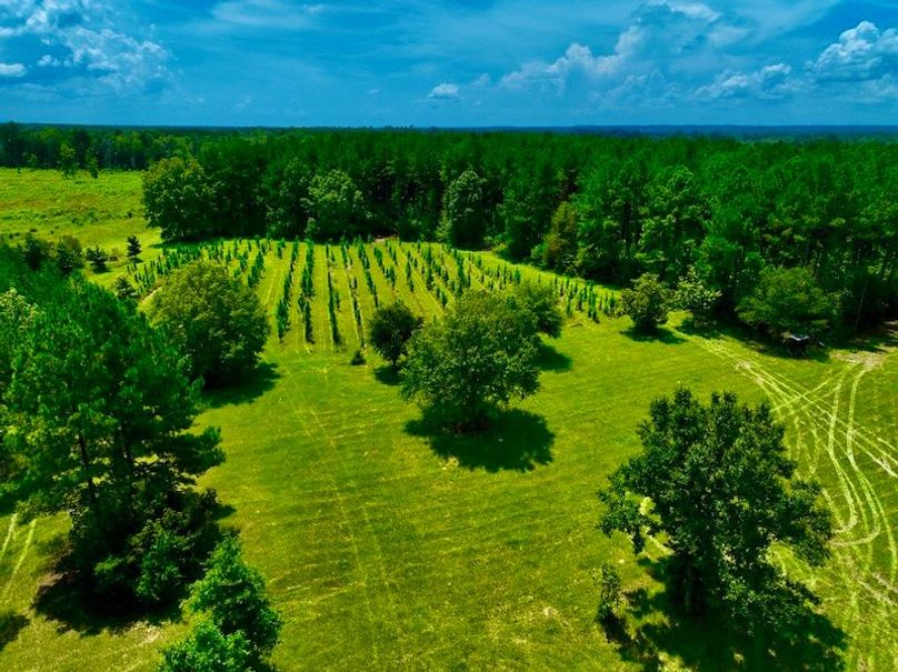 2AA76E0D-0AE0-4BCE-BC78-6E5CD7A73503_1_105_c