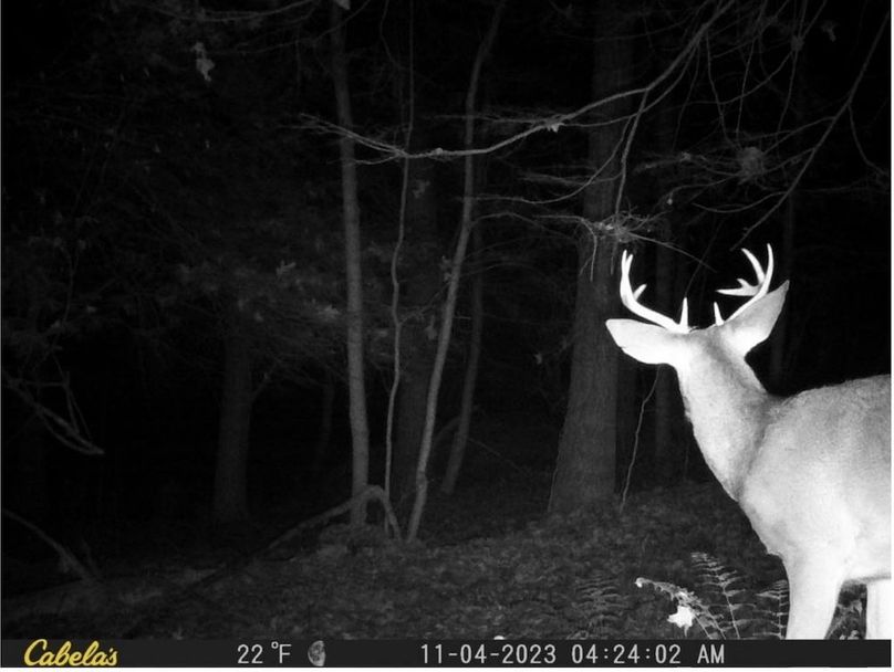 Screenshot 2026-02-25 213842