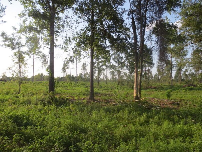 644E04F7-505D-4DA4-A98F-9BA95048C904_1_105_c