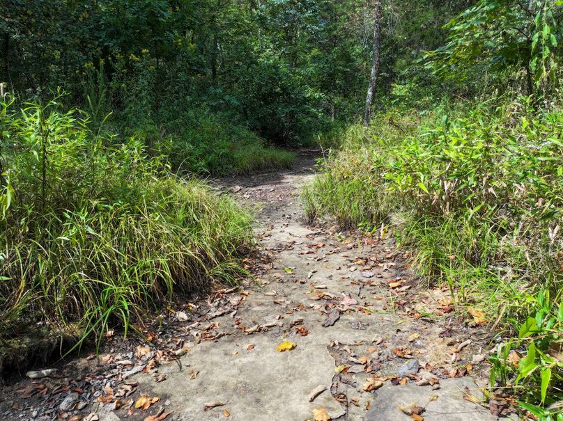 DJI_20250904124941_0596_D