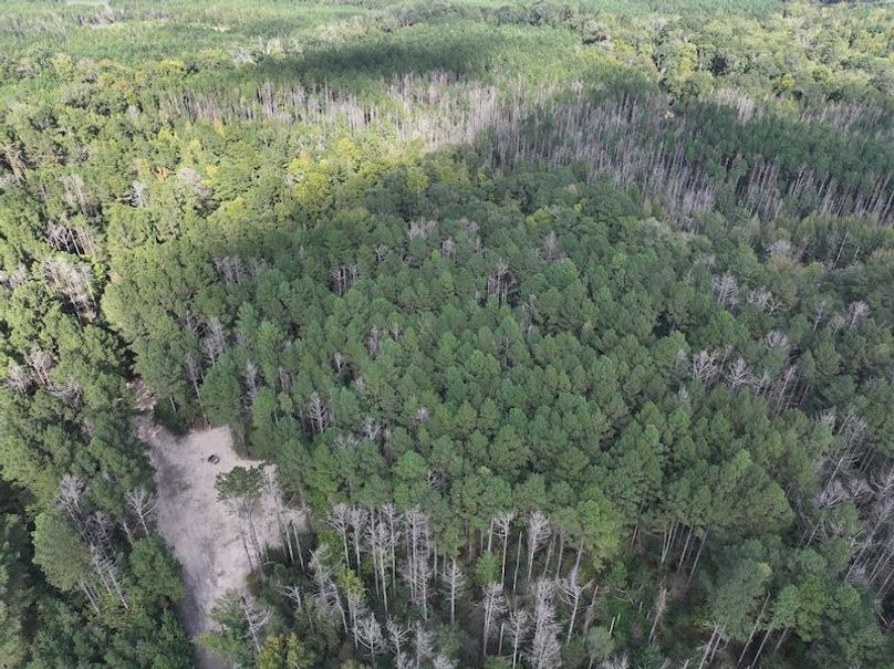 dji_fly_20251001_160438_0653_1759492678449_photo