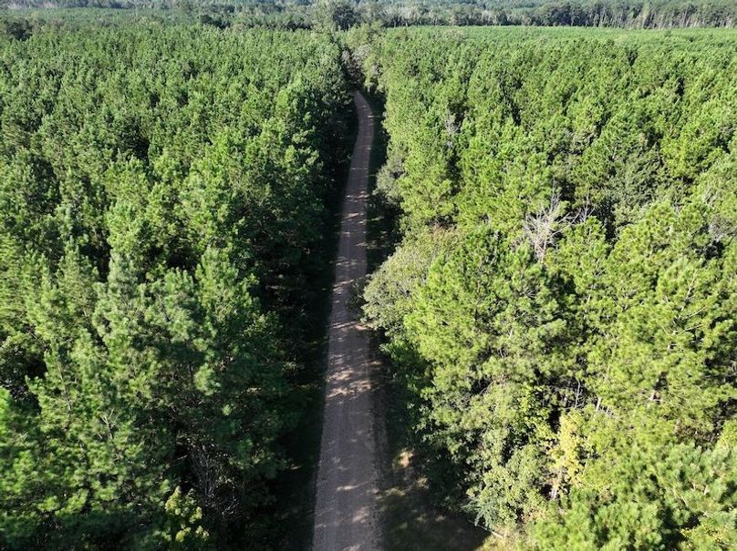 dji_fly_20250908_093752_0413_1757354104930_photo