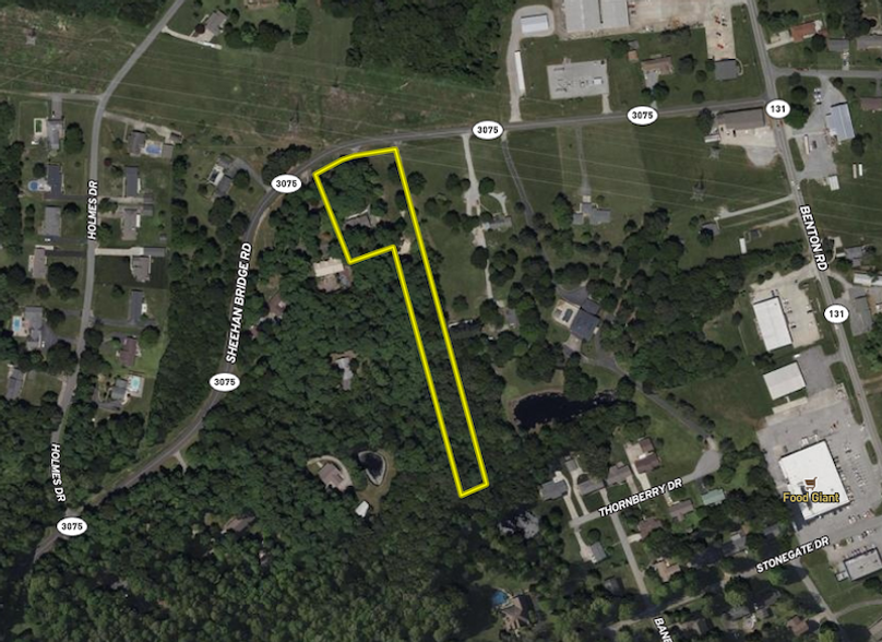 Screenshot 2026-02-16 at 11.19.26 AM