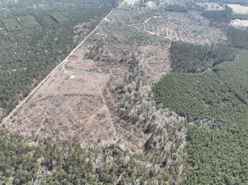 dji_fly_20260303_140404_307_1772637919477_photo