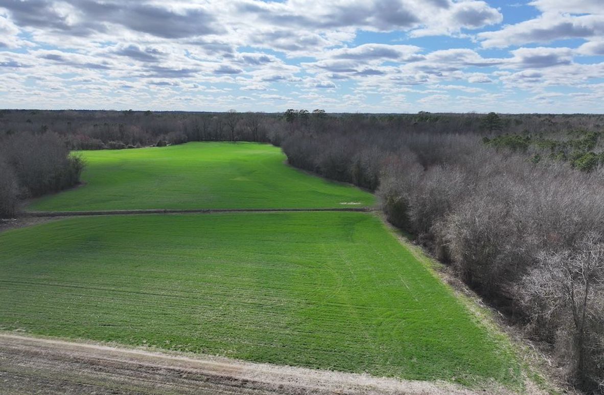 DJI_20250306150625_0004_D