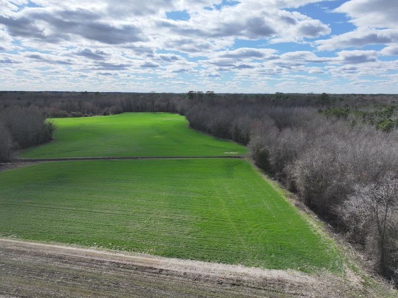 DJI_20250306150625_0004_D