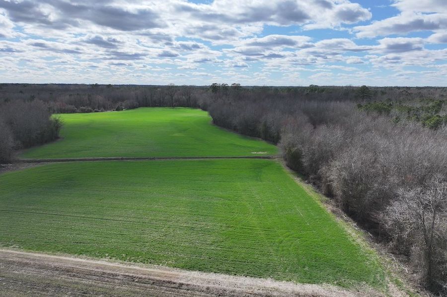 DJI_20250306150625_0004_D