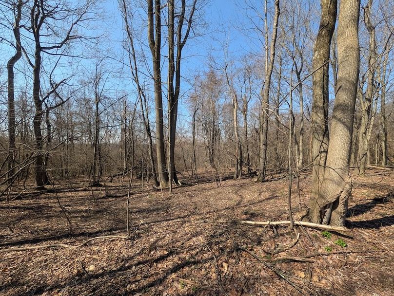 PXL_20260326_162254343.MP