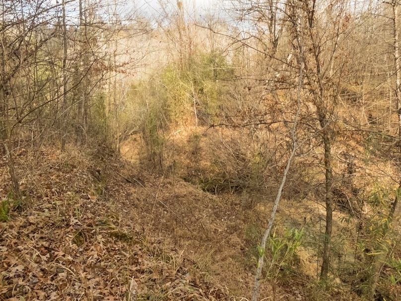 Yazoo Co - 75 - Batton-24