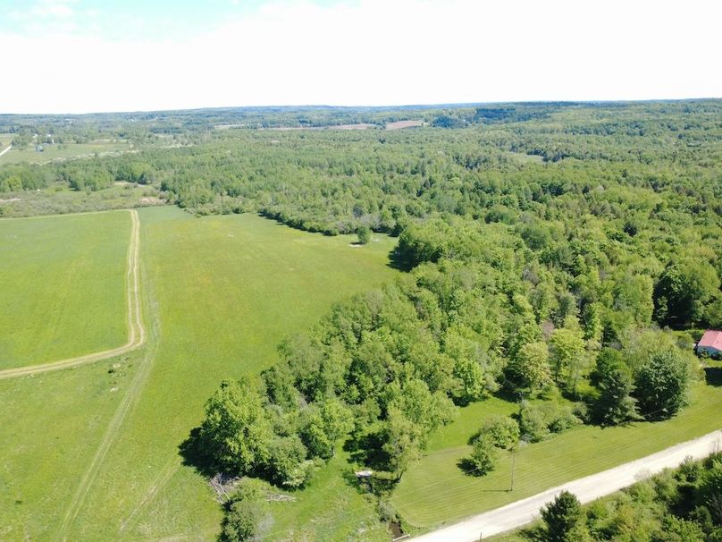 DJI_0310