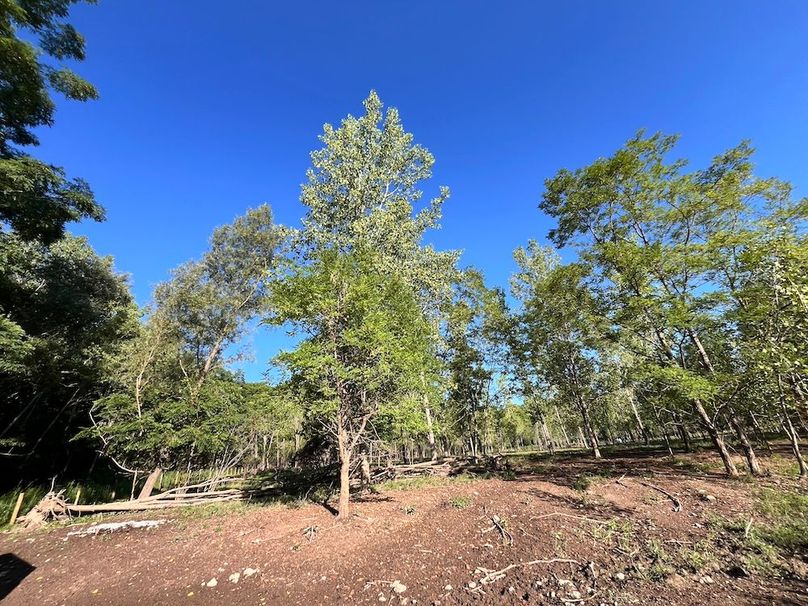 Ontario_19.1_Schmucker_Photos_16