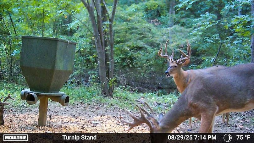 Fleming Petry 115-14