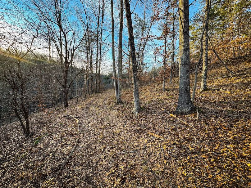 Jackson, WV 118.94 AC Shafer-090