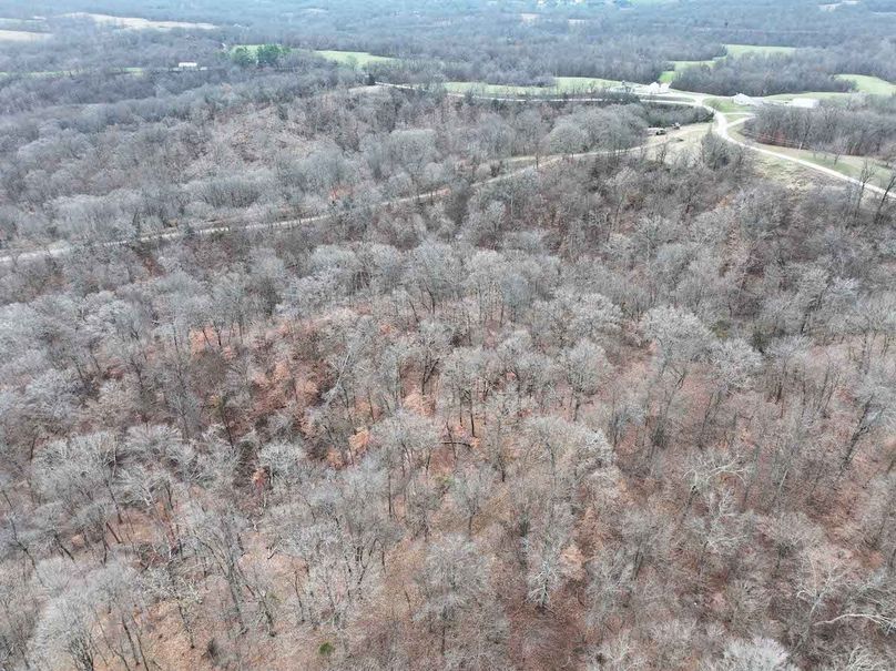 DJI_20251126164421_0308_D