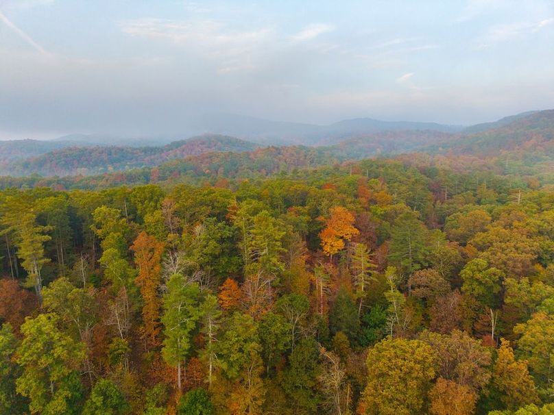 Copy of DJI_20250922073051_0028_D