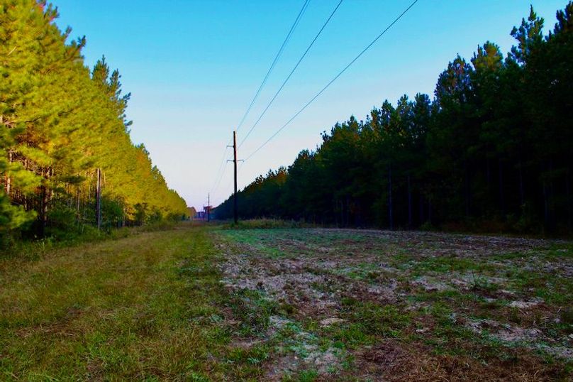 51C6FA01-88B6-4D07-83FA-1DD31D9351FC_1_201_a