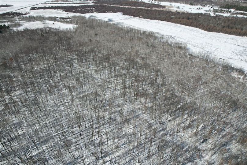 dji_fly_20260311_115212_105_1773248431151_photo (1)