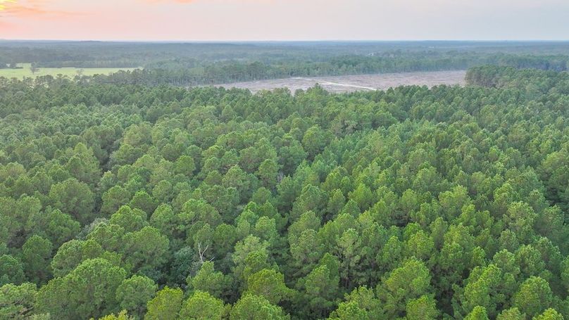 DJI_20250918184905_0278_D