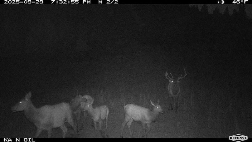 ED742330-355A-4CC9-9870-9DA0DBCE6772