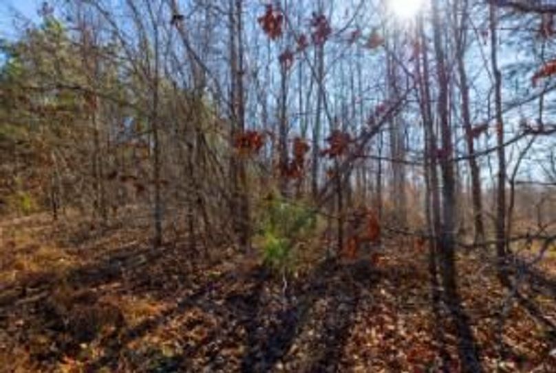 MCKINNON TRACT 19-11