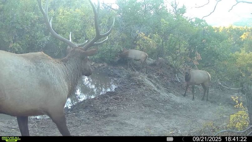 016578004083249-82-2-09212025184122-V-SYFW00335