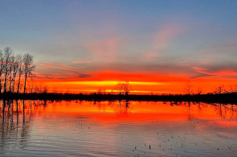 (3)Sunrise