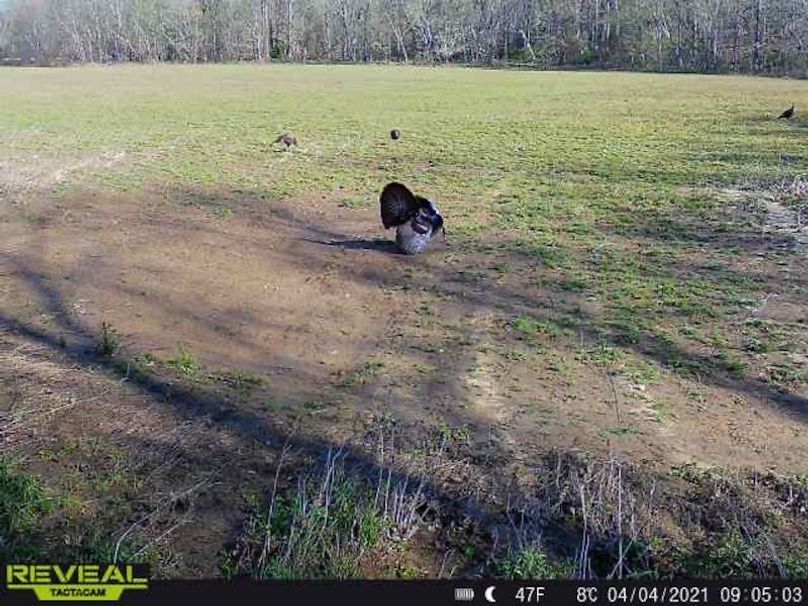 865519049947982-100-4-04042021090502-W1007703