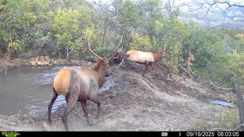 016578004083249-78-2-09192025080305-V-SYFW00274