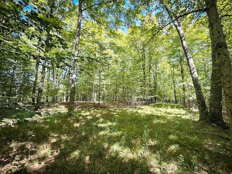 Tioga NY 64 Shores 26