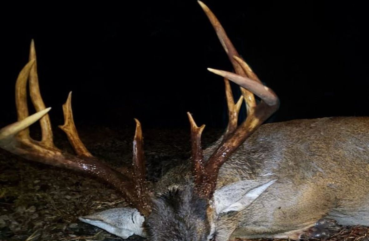 Claiborne Co-314-Fernandez-2