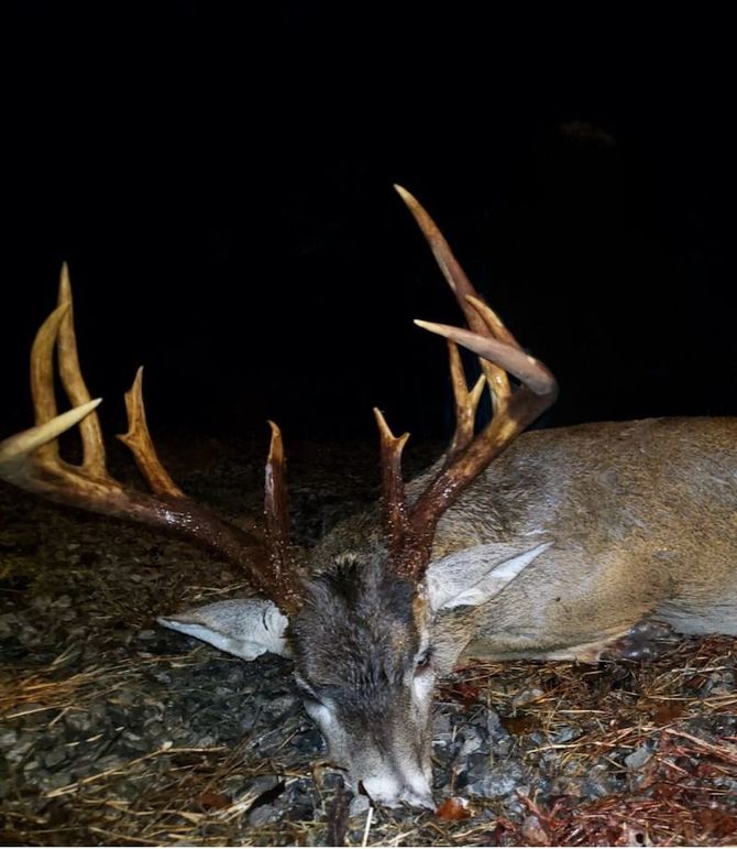 Claiborne Co-314-Fernandez-2