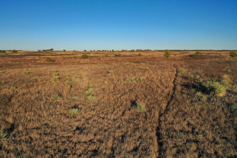 org_351f4b008a25f5e6_1762732596000