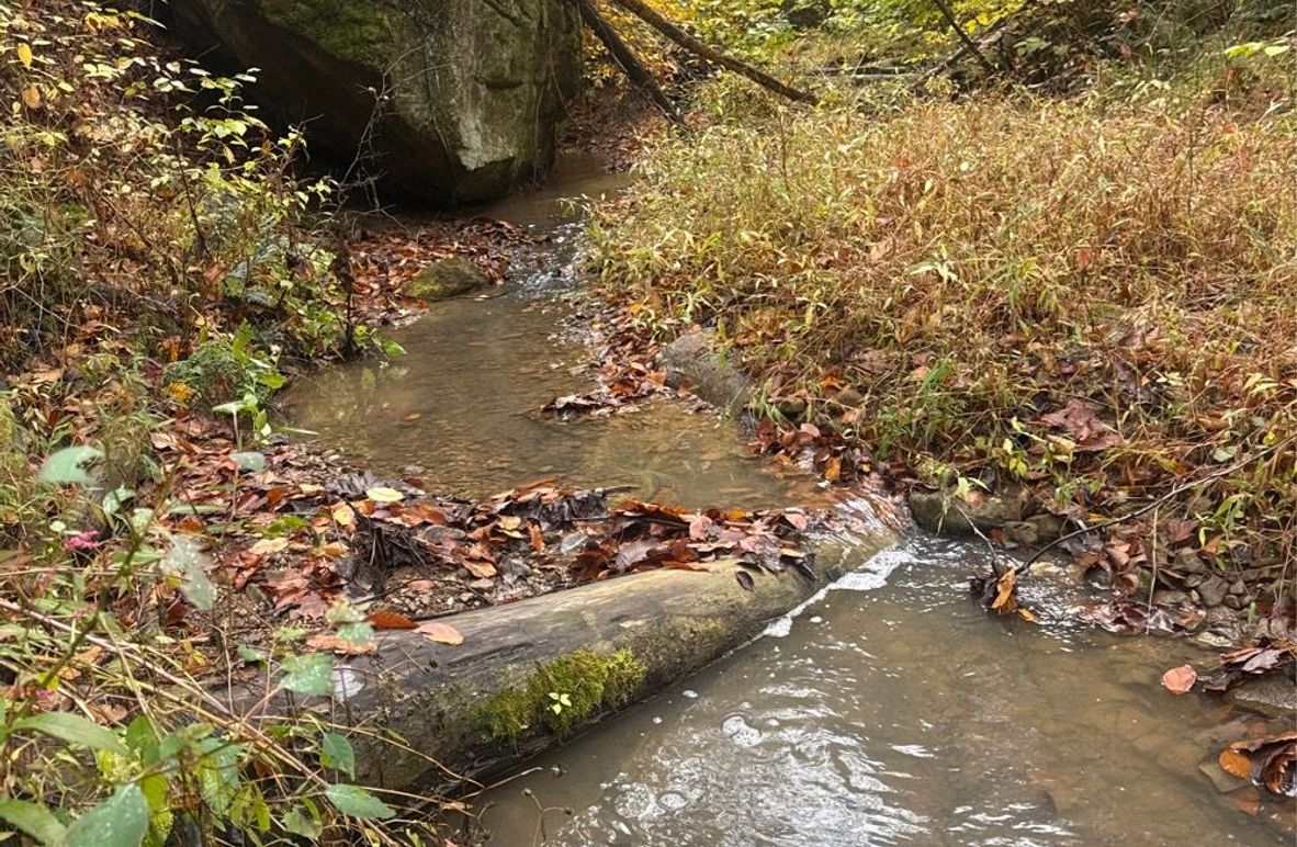 001 left Fork of Campbell Creek running along the east boundary-2