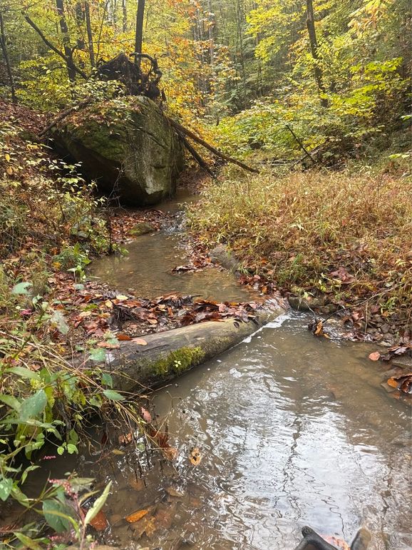 001 left Fork of Campbell Creek running along the east boundary-2