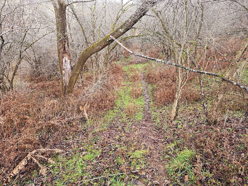 photo_967cbbe1-7ada-4ea6-87d4-92c324fe9293