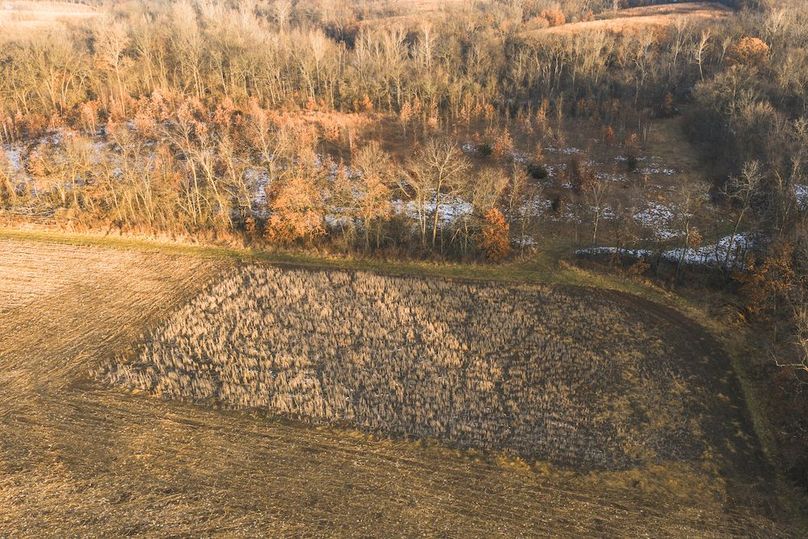 DJI_20251223082104_0205_D