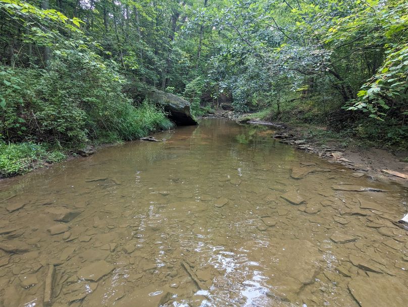 PXL_20230801_145337836.MP